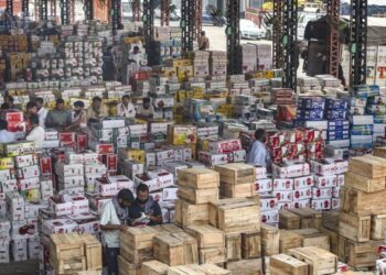 Apple prices go down in Jammu fruit Mandi amid supply chain disruption