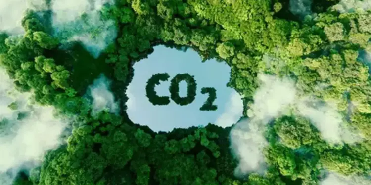 Centre issues guidelines to use green credits as substitute of compensatory afforestation