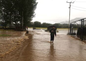 Jhelum swelling, but situation under control: I&FC appeals for calm