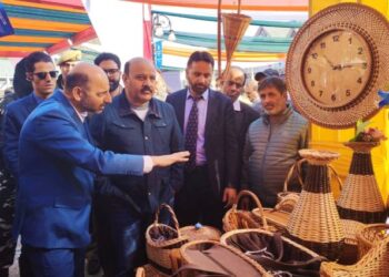 Govt committed to preserving artisanal heritage, empowering craftsmen: Dy CM