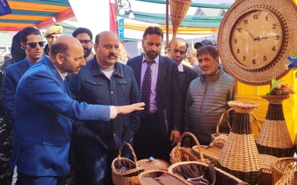 Govt committed to preserving artisanal heritage, empowering craftsmen: Dy CM