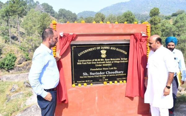 Dy CM lays foundation stones of three bridges in Nowshera