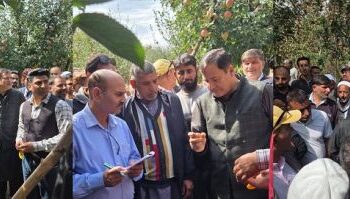 Javid Dar assesses damage caused by recent hailstorm in Rafiabad