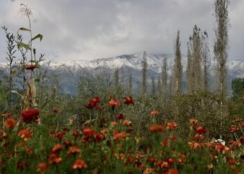 Higher reaches in Kashmir receive season’s first snowfall
