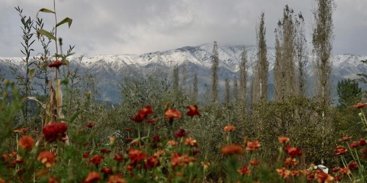 Higher reaches in Kashmir receive season’s first snowfall