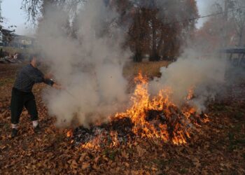 Burning the golden chinar leaves – aesthetic & a sad commentary on power outages!