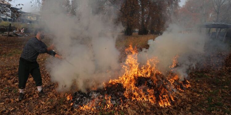 Burning the golden chinar leaves – aesthetic & a sad commentary on power outages!