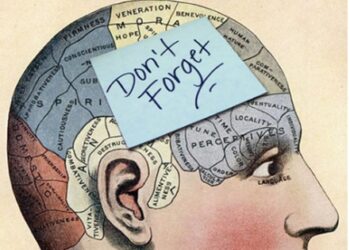 How Students Can Train Their Brain to Remember Better