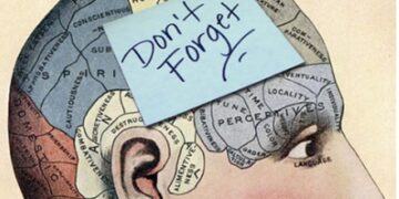 How Students Can Train Their Brain to Remember Better