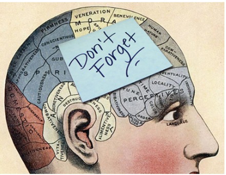 How Students Can Train Their Brain to Remember Better