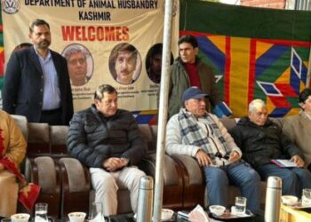 Javid Dar highlights empowerment of livestock and poultry sectors