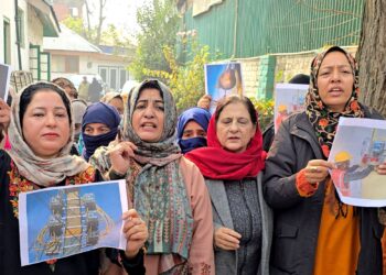 Police stop PDP’s women unit from protesting against proposed power tariff hike