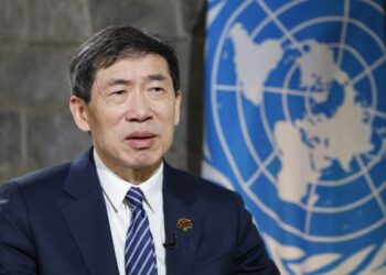 India showed economic growth and social inclusion can advance together: UNDP chief