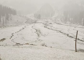 Kashmir’s upper reaches snowed