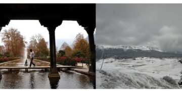 AN AUTUMN-WINTER COMBO