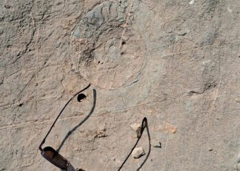 252-million-year-old ‘nature’s library’ in Kashmir gets national geo-heritage tag