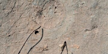 252-million-year-old ‘nature’s library’ in Kashmir gets national geo-heritage tag