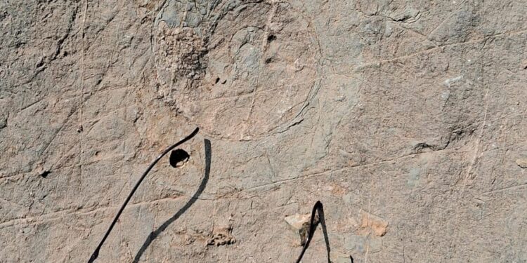 252-million-year-old ‘nature’s library’ in Kashmir gets national geo-heritage tag