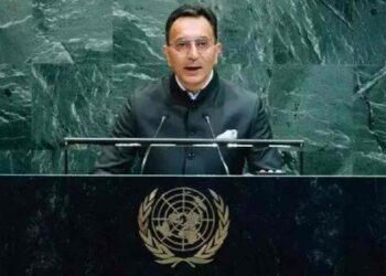 AI Summit in New Delhi platform for Global South to shape international AI agenda: India