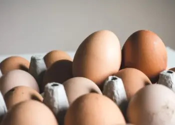 Eggs safe to eat, cancer risk claims misleading: FSSAI clarifies
