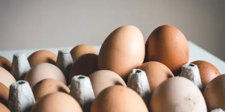 Eggs safe to eat, cancer risk claims misleading: FSSAI clarifies