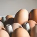 Eggs safe for consumption, cancer risk claims unfounded: FSSAI