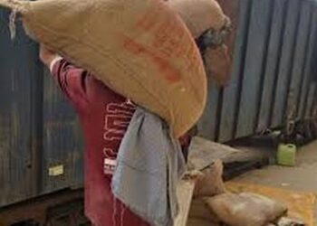 FCI’s first foodgrain freight train to reach south Kashmir goods terminal on Sunday