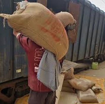 FCI’s first foodgrain freight train to reach south Kashmir goods terminal on Sunday