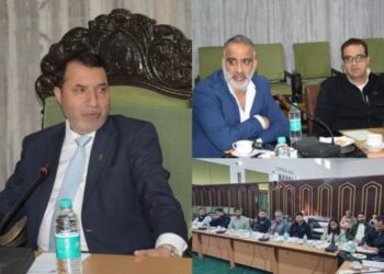 Farooq Shah chairs Petitions Committee meeting