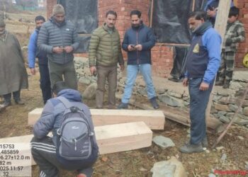 Forest Deptt clarifies allegations of mass tree felling in Drung–Danwas area