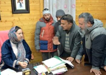 Govt committed to deliver good governance: Sakeena Itoo