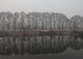 FOGGY REFLECTIONS – JEHLUM AND CHINARS