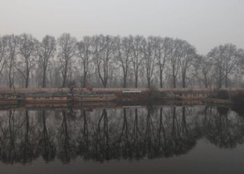 FOGGY REFLECTIONS – JEHLUM AND CHINARS