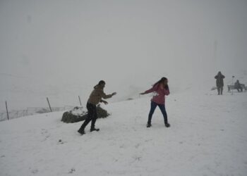 SHEEN Hikes Kashmiri Hopes