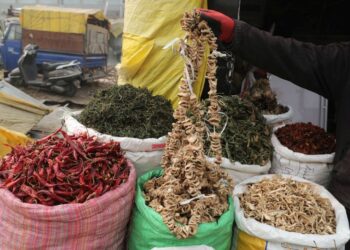 As Chillai Kalan, the coldest 40-day period, knocks at Kashmir’s doors, vendors in Srinagar sell traditional dry organic vegetables