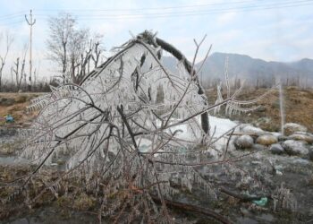 Minimum temperature moves up a bit in Kashmir