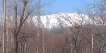 Amid forecasts of wet weather, cold conditions intensify in Kashmir