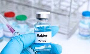 Govt, private hospitals asked to maintain stocks of anti-rabies vaccine at all times
