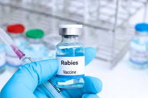 Govt, private hospitals asked to maintain stocks of anti-rabies vaccine at all times
