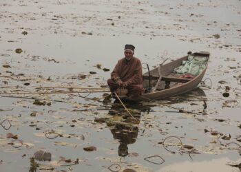 Cold wave grips Kashmir, Ladakh as mercury dips further
