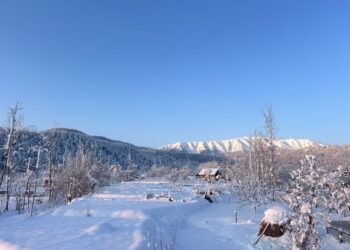 KPDCL restores Power Supply across Kashmir after severe weather spell, officials