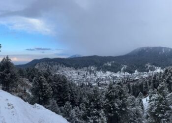 Valley parts witness moderate snowfall