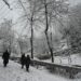 Snow brings cheer to masses, windstorms cause losses; Kashmiris bow to the Almighty