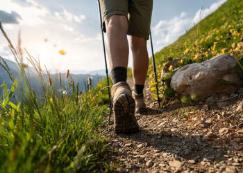 Authorities ban trekking, camping in higher reaches of Kokernag