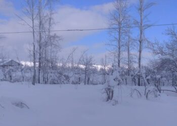 Weather improves in Kashmir after day of heavy snowfall, flights resume at Srinagar airport