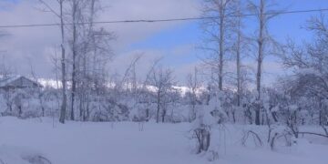 Weather improves in Kashmir after day of heavy snowfall, flights resume at Srinagar airport