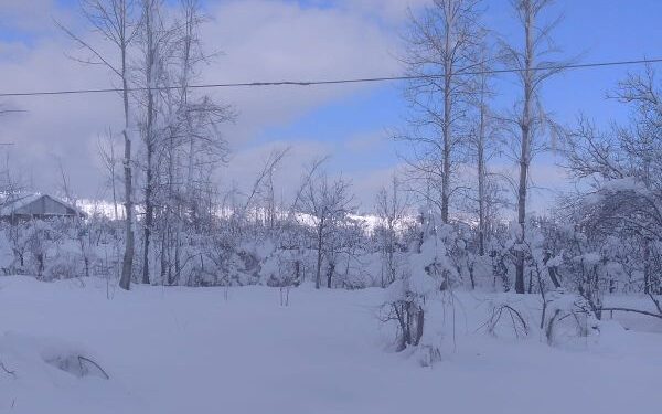 Weather improves in Kashmir after day of heavy snowfall, flights resume at Srinagar airport