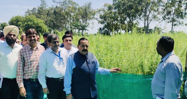 India’s first medicinal cannabis project coming up in Jammu
