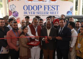 Govt considering 5 marla land allotment to Bagra flood victims: Deputy CM