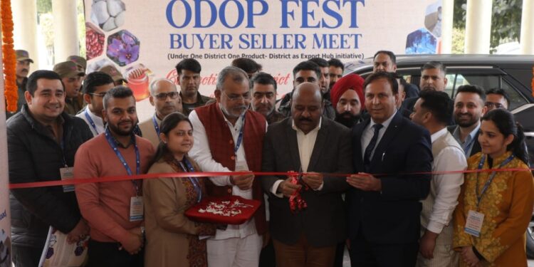 Govt considering 5 marla land allotment to Bagra flood victims: Deputy CM